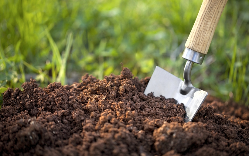 Quando Usar Adubo E Fertilizantes Nas Suas Plantas Ultrasafra