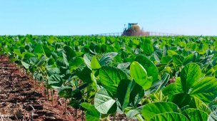 Benefício do uso de fertilizantes em grandes plantações