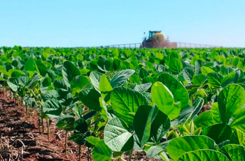 Benefício do uso de Fertilizantes em grandes plantações