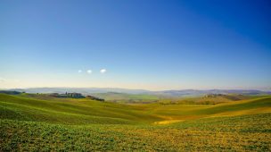 Correção do solo: entenda a importância para as plantações