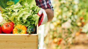 5 dicas para aumentar a produtividade da sua produção agrícola