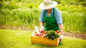 Macro e micronutrientes: o que são e qual a importância para as lavouras?