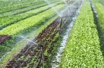 Quais são os benefícios do Fertilizante Solúvel em Água?