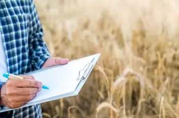 Qual a finalidade do Adubo Calcário na preparação do solo