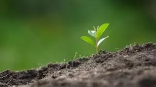 Como agem os fertilizantes para solo?