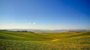 Correção do solo: entenda a importância para as plantações