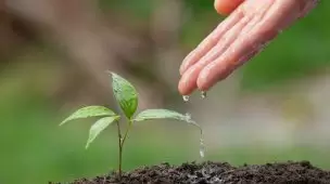 Consumo de água no verão