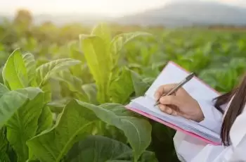 Entenda porque NPK é o melhor adubo para frutíferas
