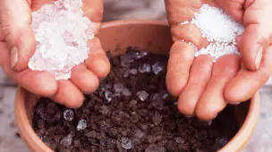 Gel para plantio de mudas